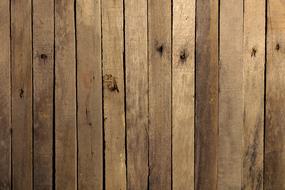 Texture Wood old Background