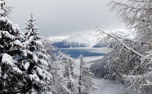 Winter Snow Christmas