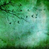 tree branch and flock of birds on a green background