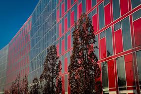 beautiful red Modern Building