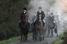 Equestrian Countryside Rural