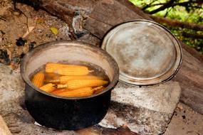 boiled corn in a pot