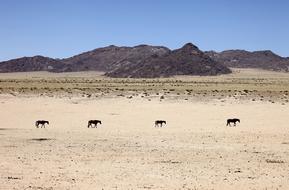 Namibia Desert Sand