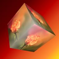 cube flower rose orange 3dw%C3%BCrfel