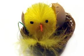 Handmade toy chicken