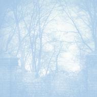 background scrapbooking texture blue tree