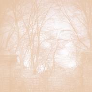 landscape in pink filter
