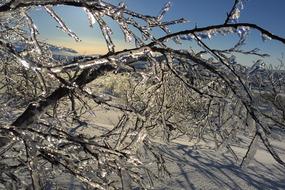 Ice Icicles Snow