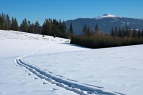 Babia Top Winter Trail