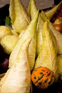juicy yellow pumpkin