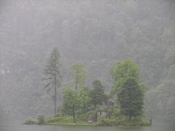 Rain Island Forest