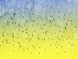 drawn flock of birds on a yellow-blue sky