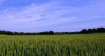 Sweden Summer Landscapes