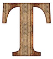 alphabet letter initial t wood drawing