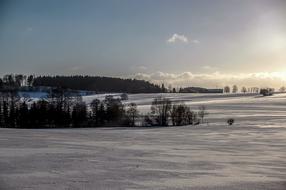 Winter Snow Evening Sun