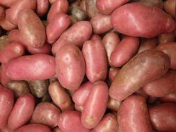 raw root vegetables
