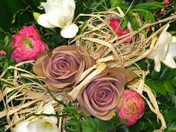 dry roses for decoration