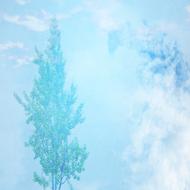 background scrapbooking paper blue tree drawing