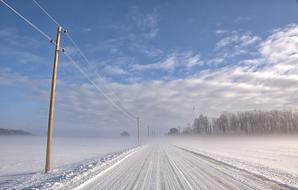 Wintry Road Mist