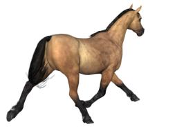 brown horse running away, 3d render