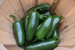 spicy green peppers