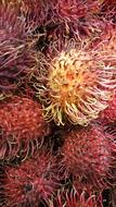 fresh tropical fruits