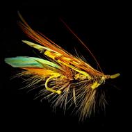 jewelry brooch with feathers