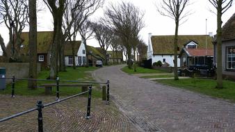 green roofs of houses
