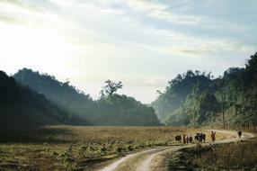 Lanscape Mountain