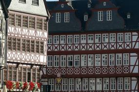 Beautiful and colorful houses with plants in the historic center