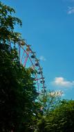 Ferris Wheel Fair Year Market