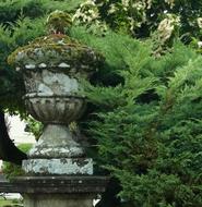 stone vase in the bushes