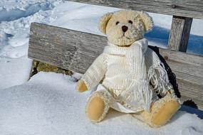 Teddy Plush Bears