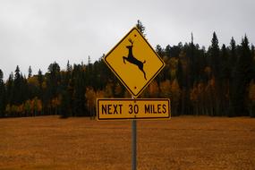 sign alerting the deer