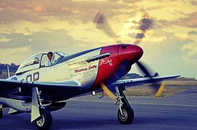Mustang P-51