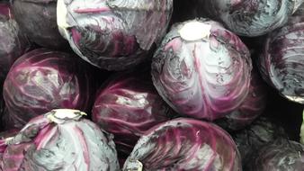 delicious pink cabbage