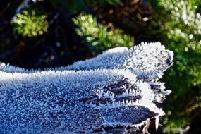 Frost Ice Icy
