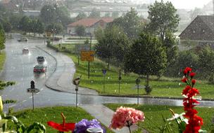 Giengen Summer Rain