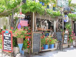 outdoor flower shop