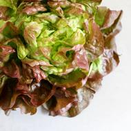 coleslaw is healthy