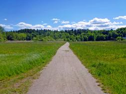 Road Landscapes Nature