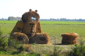 straw bear in the field
