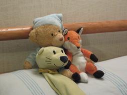 Teddies Stuffed Animals Children