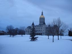 a tall building in the snow by the trees