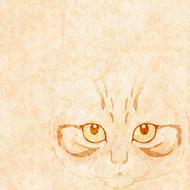 background scrapbooking paper cat face drawing