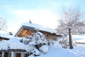 amazing Snow House