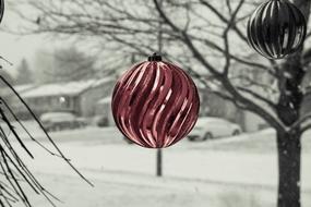 Winter Christmas Holiday