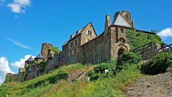 old castle among the trees