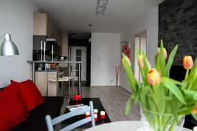 Beautiful and colorful tulips in the vase, in the colorful apartment