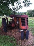 Rusted Tractor Pasture Farm